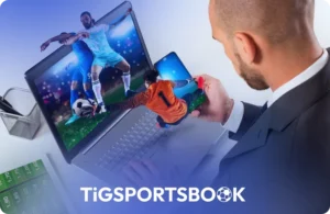 Top Sportsbook Software Providers in 2026 - 2027