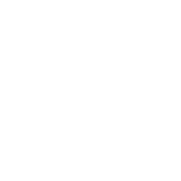 Launch & Ongoing Support